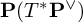 bold upper P left parenthesis upper T Superscript asterisk Baseline bold upper P Superscript or Baseline right parenthesis