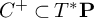 upper C Superscript plus Baseline subset of upper T Superscript asterisk Baseline bold upper P