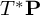 upper T Superscript asterisk Baseline bold upper P