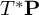 upper T Superscript asterisk Baseline bold upper P