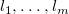 l 1 comma ellipsis comma l Subscript m Baseline