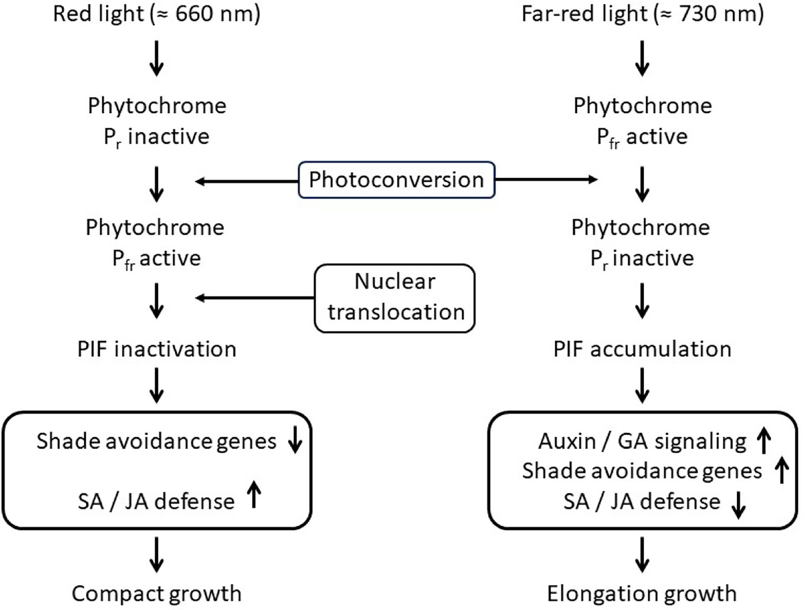 Figure 0