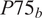 upper P 75 b