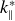 k Subscript parallel to Superscript asterisk