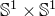 double struck upper S Superscript 1 Baseline times double struck upper S Superscript 1