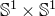 double struck upper S Superscript 1 Baseline times double struck upper S Superscript 1