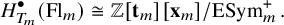 upper H Subscript upper T Sub Subscript m Subscript Superscript bullet Baseline left parenthesis upper F l Subscript m Baseline right parenthesis approximately equals double struck upper Z left bracket bold t Subscript m Baseline right bracket left bracket bold x Subscript m Baseline right bracket divided by upper E upper S y m Subscript m Superscript plus Baseline period