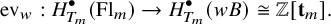 StartLayout 1st Row ev Subscript w Baseline colon upper H Subscript upper T Sub Subscript m Subscript Superscript bullet Baseline left parenthesis upper F l Subscript m Baseline right parenthesis right arrow upper H Subscript upper T Sub Subscript m Subscript Superscript bullet Baseline left parenthesis w upper B right parenthesis approximately equals double struck upper Z left bracket bold t Subscript m Baseline right bracket period EndLayout