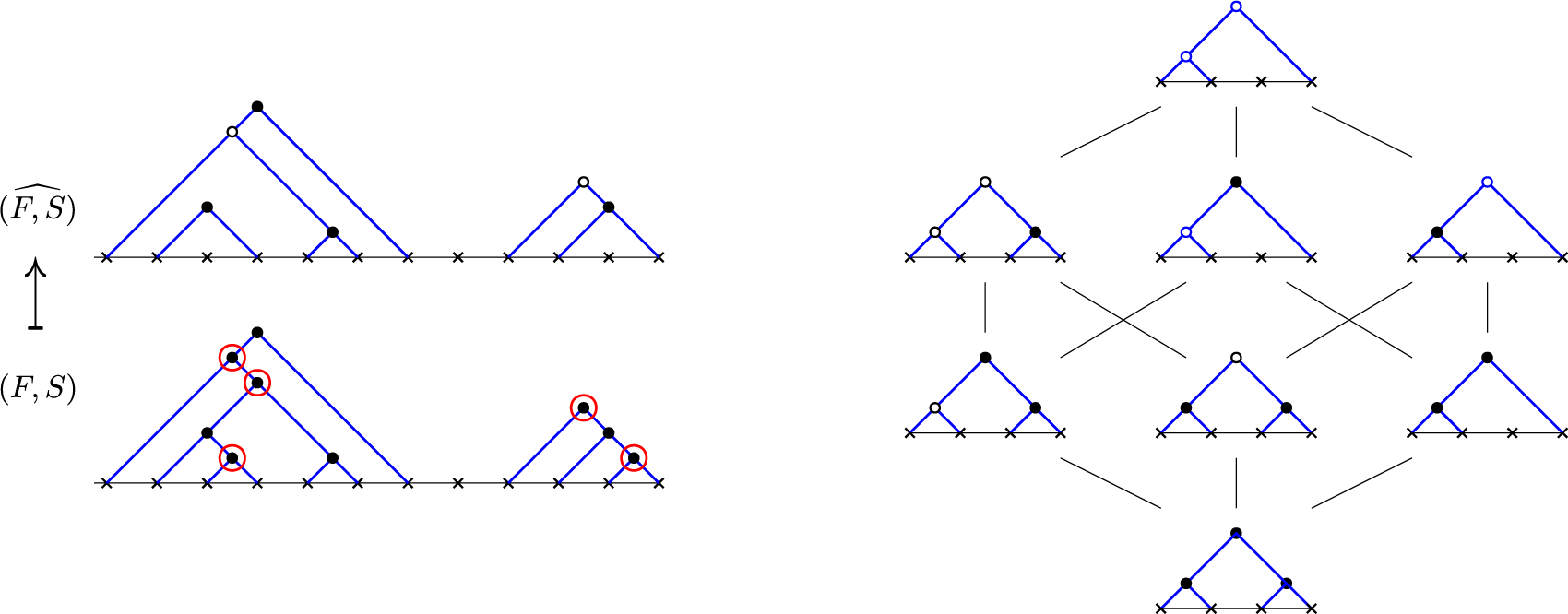 A two-panel mathematical diagram showing a transformation between nested forest structures on the left and a lattice of all possible forest elements on the right. See long description.