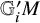 double struck upper G prime Subscript i Baseline upper M