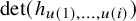 det left parenthesis h Subscript u left parenthesis 1 right parenthesis comma ellipsis comma u left parenthesis i right parenthesis Baseline right parenthesis