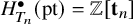 upper H Subscript upper T Sub Subscript n Superscript bullet Baseline left parenthesis pt right parenthesis equals double struck upper Z left bracket bold t Subscript n Baseline right bracket