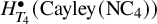 upper H Subscript upper T 4 Superscript bullet Baseline left parenthesis upper C a y l e y left parenthesis upper N upper C 4 right parenthesis right parenthesis