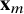 bold x Subscript m