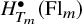 upper H Subscript upper T Sub Subscript m Superscript bullet Baseline left parenthesis upper F l Subscript m Baseline right parenthesis
