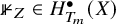 double struck 1 Subscript upper Z Baseline element of upper H Subscript upper T Sub Subscript m Superscript bullet Baseline left parenthesis upper X right parenthesis