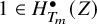1 element of upper H Subscript upper T Sub Subscript m Superscript bullet Baseline left parenthesis upper Z right parenthesis