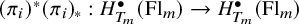 left parenthesis pi Subscript i Baseline right parenthesis Superscript asterisk Baseline left parenthesis pi Subscript i Baseline right parenthesis Subscript asterisk Baseline colon upper H Subscript upper T Sub Subscript m Subscript Superscript bullet Baseline left parenthesis upper F l Subscript m Baseline right parenthesis right arrow upper H Subscript upper T Sub Subscript m Subscript Superscript bullet Baseline left parenthesis upper F l Subscript m Baseline right parenthesis