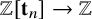 double struck upper Z left bracket bold t Subscript n Baseline right bracket right arrow double struck upper Z