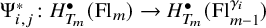 normal upper Psi Subscript i comma j Superscript asterisk Baseline colon upper H Subscript upper T Sub Subscript m Subscript Superscript bullet Baseline left parenthesis upper F l Subscript m Baseline right parenthesis right arrow upper H Subscript upper T Sub Subscript m Subscript Superscript bullet Baseline left parenthesis upper F l Subscript m minus 1 Superscript gamma Super Subscript i Superscript Baseline right parenthesis