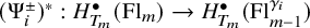 left parenthesis normal upper Psi Subscript i Superscript plus or minus Baseline right parenthesis Superscript asterisk Baseline colon upper H Subscript upper T Sub Subscript m Subscript Superscript bullet Baseline left parenthesis upper F l Subscript m Baseline right parenthesis right arrow upper H Subscript upper T Sub Subscript m Subscript Superscript bullet Baseline left parenthesis upper F l Subscript m minus 1 Superscript gamma Super Subscript i Superscript Baseline right parenthesis