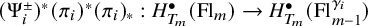 left parenthesis normal upper Psi Subscript i Superscript plus or minus Baseline right parenthesis Superscript asterisk Baseline left parenthesis pi Subscript i Baseline right parenthesis Superscript asterisk Baseline left parenthesis pi Subscript i Baseline right parenthesis Subscript asterisk Baseline colon upper H Subscript upper T Sub Subscript m Subscript Superscript bullet Baseline left parenthesis upper F l Subscript m Baseline right parenthesis right arrow upper H Subscript upper T Sub Subscript m Subscript Superscript bullet Baseline left parenthesis upper F l Subscript m minus 1 Superscript gamma Super Subscript i Superscript Baseline right parenthesis