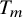 upper T Subscript m