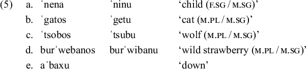 A linguistic data table labeled 5 with five rows of word comparisons and their English translations.