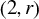 left parenthesis 2 comma r right parenthesis