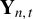 bold upper Y Subscript n comma t