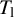 upper T Subscript normal l