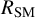 upper R Subscript upper S upper M