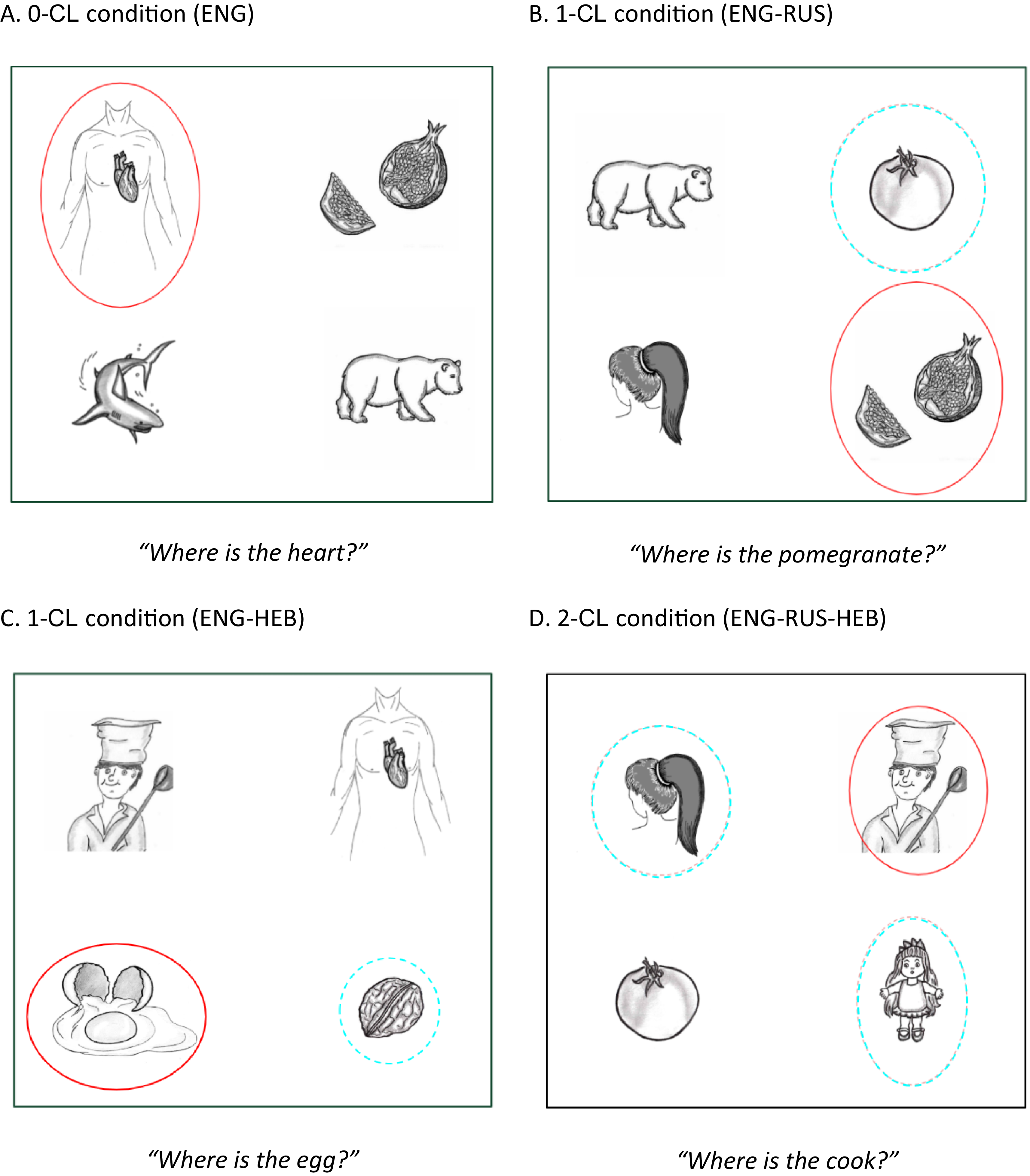 Illustration of four panels showing different conditions of cognitive control tasks involving English and other languages.