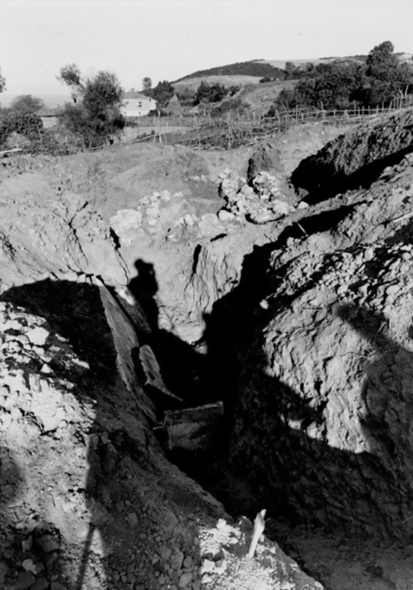 Black and white photograph of a monumental lion and stag tomb located southwest of Sinop.
