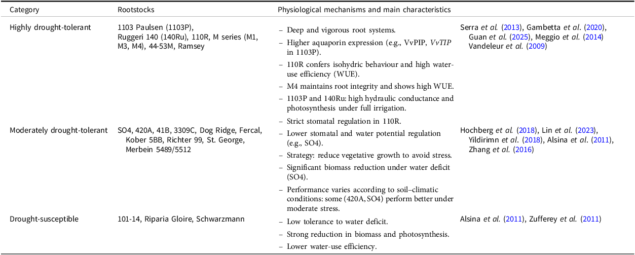 Table comparing rootstocks and their physiological mechanisms for drought tolerance.