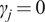 gamma Subscript j Baseline equals 0