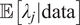 double struck upper E left bracket lamda Subscript j Baseline vertical bar data right bracket