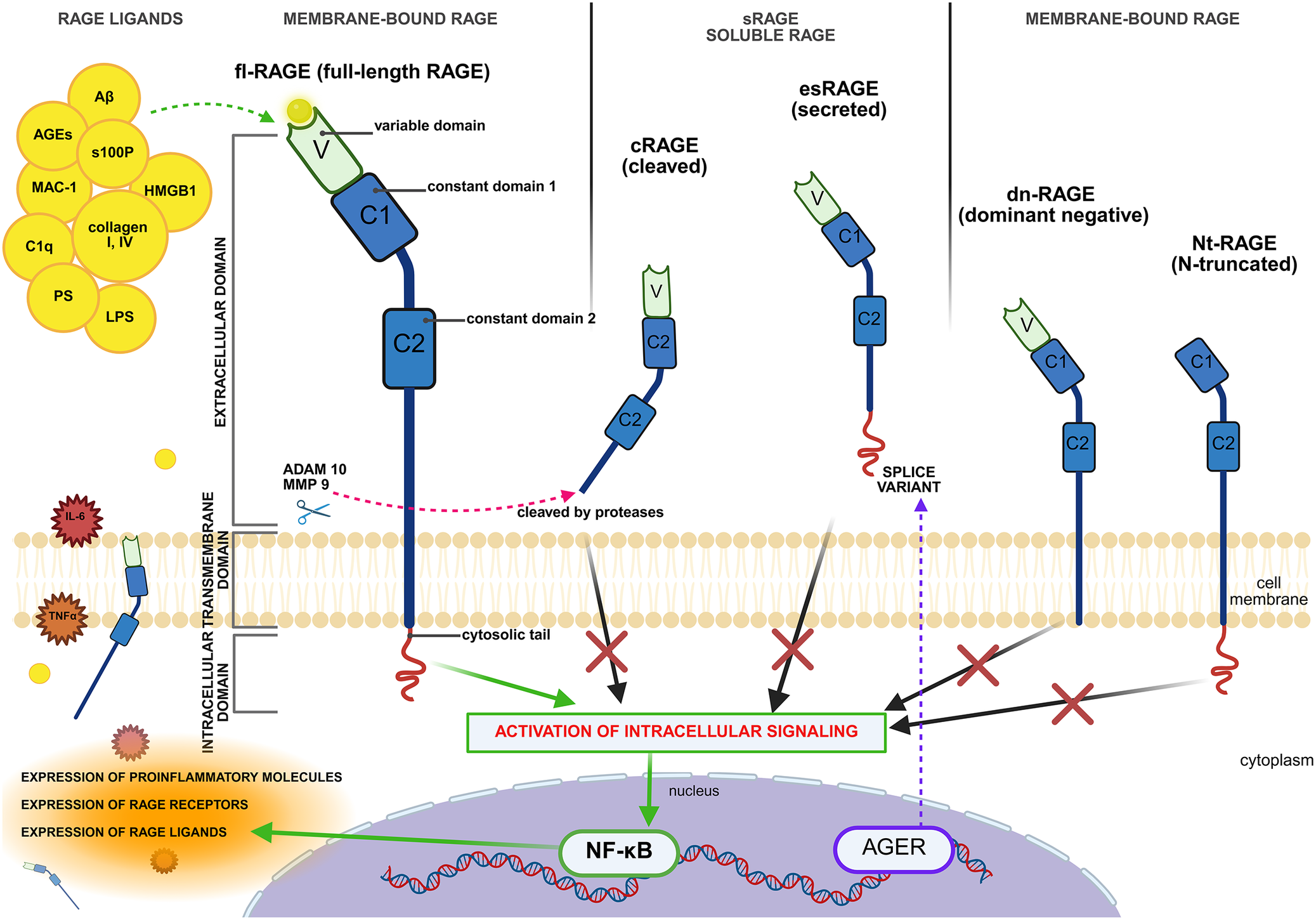 Figure 13