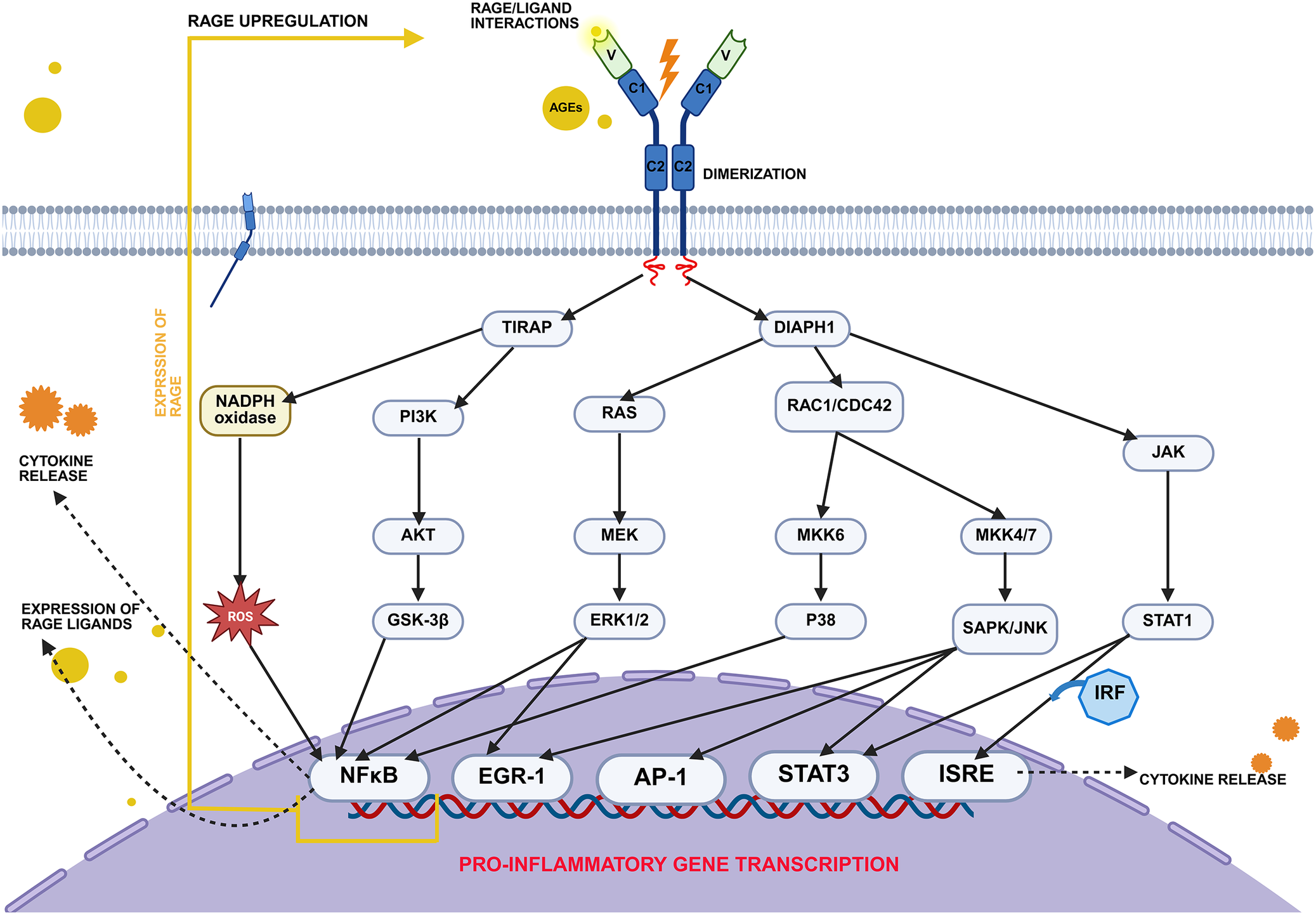 Figure 14