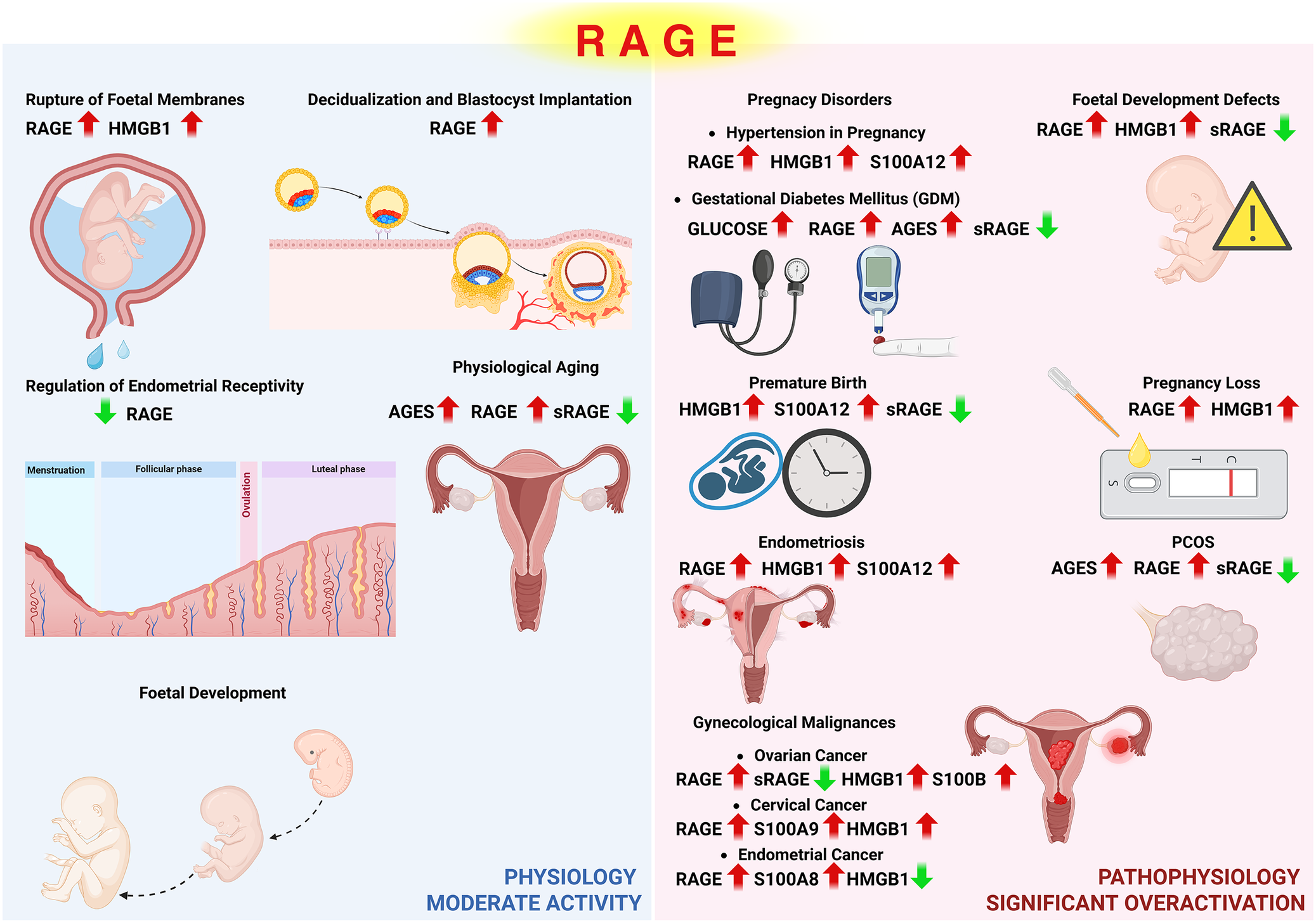 Figure 16