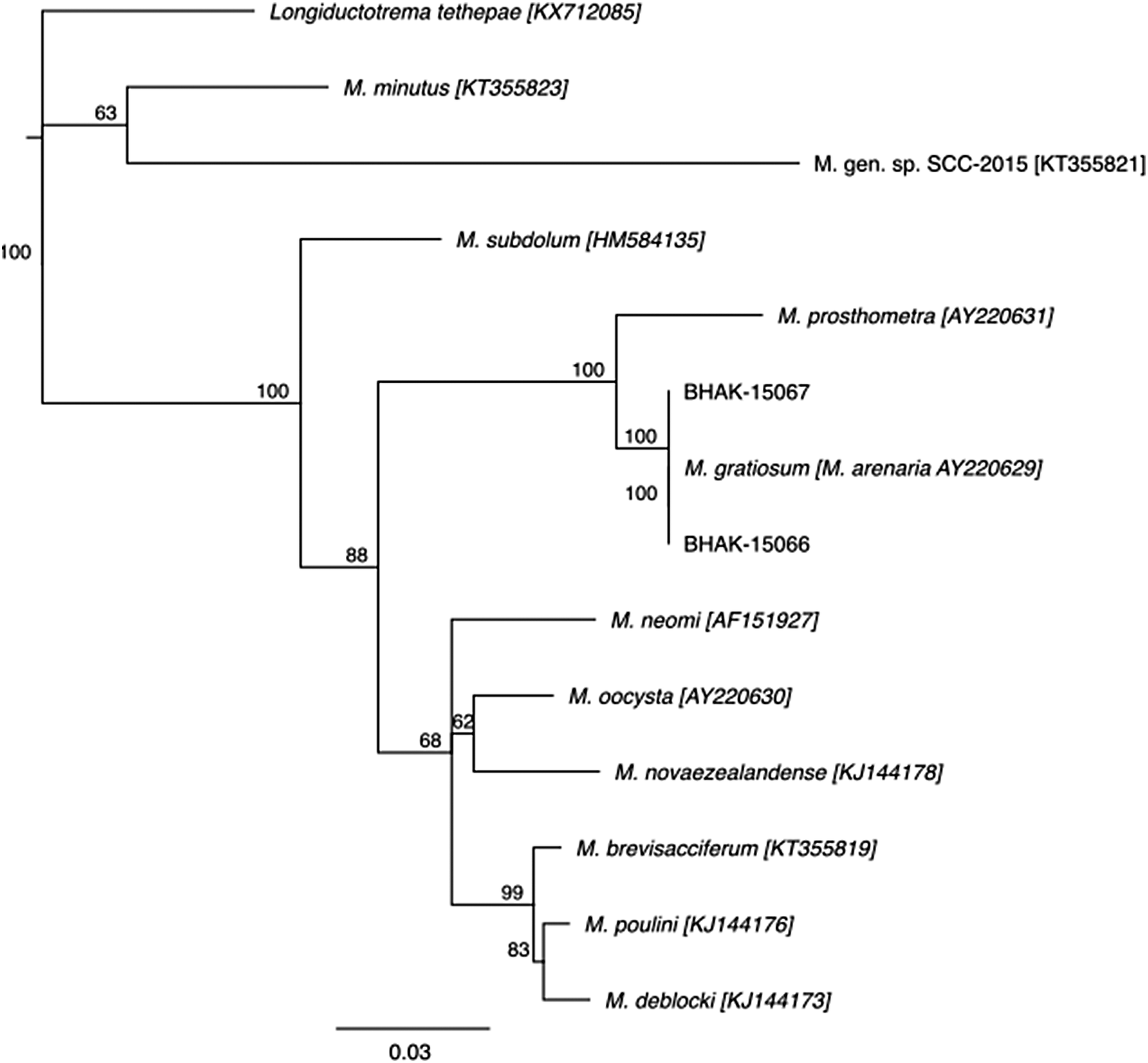 Figure 1