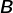 sans serif bold italic upper B