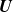bold italic upper U