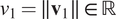 v 1 equals parallel to v 1 parallel to element of double struck upper R