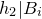 h 2 vertical bar upper B Subscript i Baseline