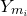 upper Y Subscript m Sub Subscript i
