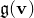 German g left parenthesis bold v right parenthesis