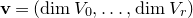bold v equals left parenthesis dimension upper V 0 comma ellipsis comma dimension upper V Subscript r Baseline right parenthesis