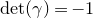 det left parenthesis gamma right parenthesis equals negative 1