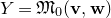 upper Y equals German upper M 0 left parenthesis bold v comma bold w right parenthesis